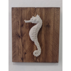 Caballito de mar sobre tabla