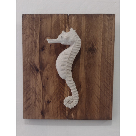 Caballito de mar sobre tabla